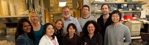 Group Photograph of the Lindow Lab Staff